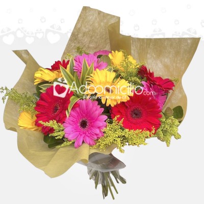 Bouquet De Gerberas A Domicilio En Bogotá Pedido Con Un Día De Anticipación 