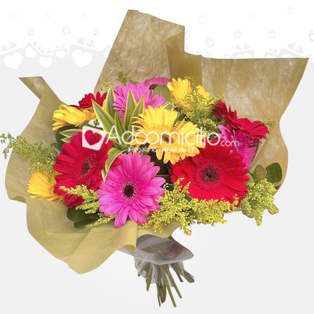 Bouquet De Gerberas A Domicilio En Bogotá Pedido Con Un Día De Anticipación 