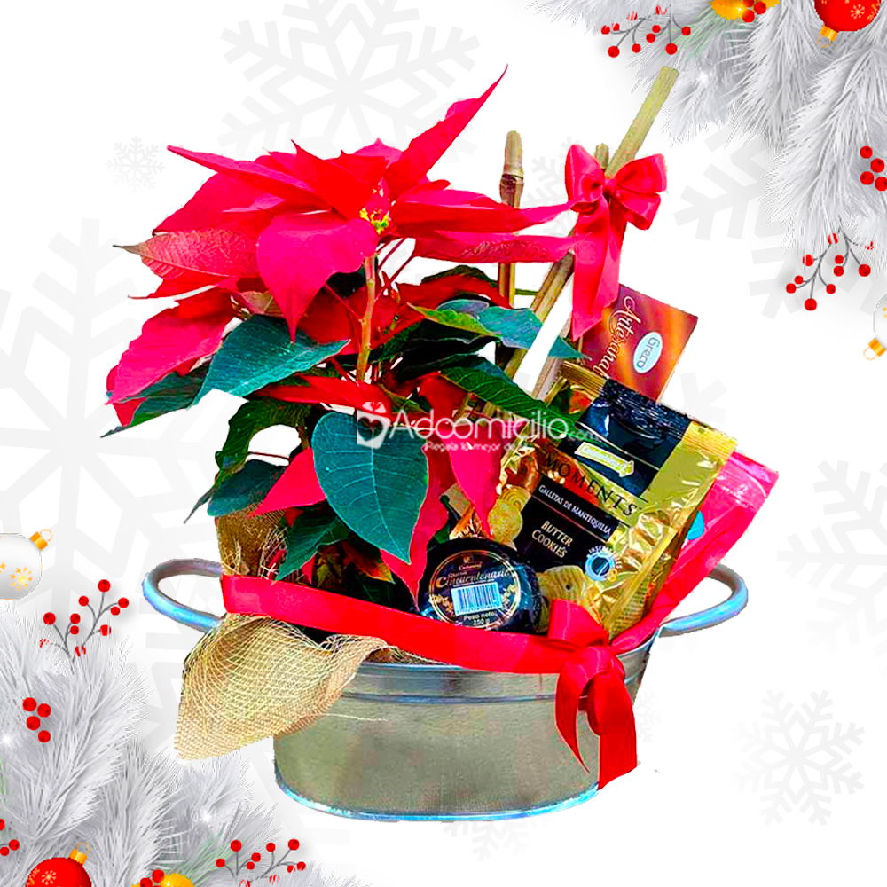 Ancheta Navideña Con Poncentia A Domicilio En Medellín Pedido Con Un Día De Anticipación 